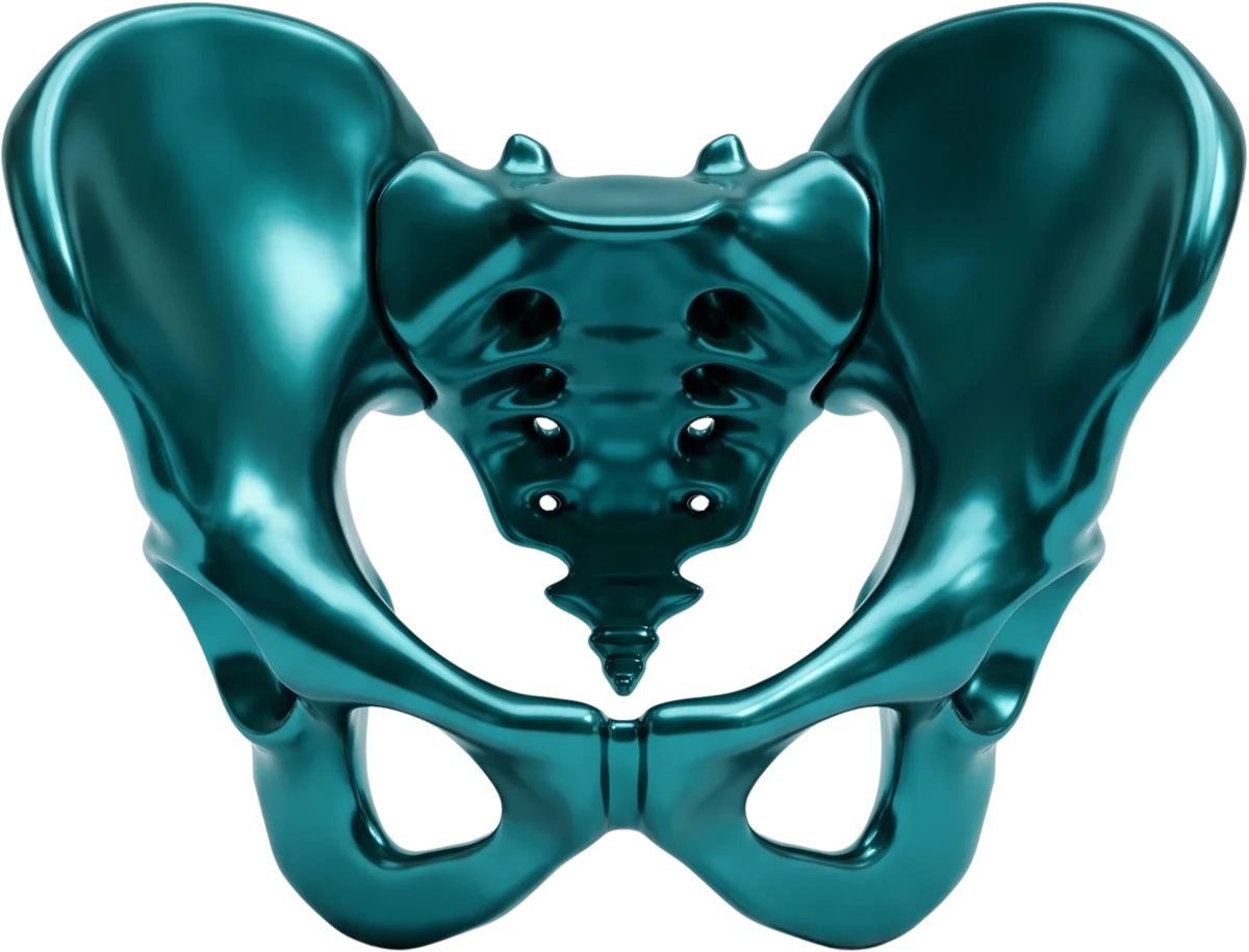 Pelvis, Unitat de Salut Pèlvica de Córporal